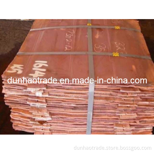 Electrolytic Copper 99.99% with Best Price